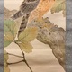 池上秀畝 柏鷹 6