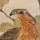 池上秀畝 柏鷹 10