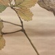池上秀畝 柏鷹 12