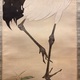 西山翠嶂 鶴 6
