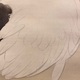 西山翠嶂 鶴 10