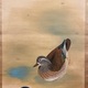 川端龍子 鴛鴦遊々 5