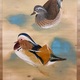 川端龍子 鴛鴦遊々 6