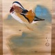 川端龍子 鴛鴦遊々 7