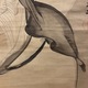 狩野安信 維摩図 12