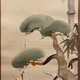 酒井抱一 松竹梅図 5