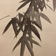 酒井抱一 松竹梅図 7