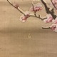 森蘭斎 梅菊小禽図 17