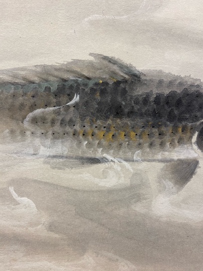 徳岡神泉 鯉｜古美術・掛け軸の販売・買取・鑑定-松本松栄堂