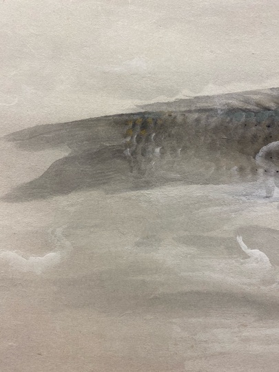 徳岡神泉 鯉｜古美術・掛け軸の販売・買取・鑑定-松本松栄堂