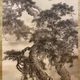 今尾景祥 海辺老松図 6