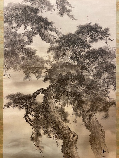 真作/今尾景祥/老松稚松之図/松図/掛軸☆宝船☆AG-287 今尾景祥 海辺老松図｜古美術・掛け軸の販売・買取・鑑定-松本松栄堂