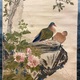 張月樵 花鳥図 5