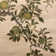 張月樵 花鳥図 9