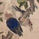 張月樵 花鳥図 11