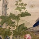 張月樵 花鳥図 14