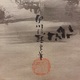 狩野伊川院栄信 鶴図 双幅 4