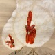 渡辺省亭 諫鼓鶏之図 8