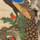 狩野永岳 孔雀双幅 5