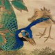 狩野永岳 孔雀双幅 17