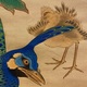 狩野永岳 孔雀双幅 18