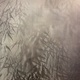 木島桜谷 竹林遊狸図 8