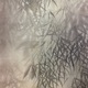 木島桜谷 竹林遊狸図 11