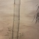 木島桜谷 竹林遊狸図 12