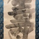 白隠慧鶴 福禄寿 5