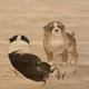森一鳳 狗子図 5