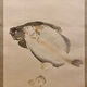 竹内栖鳳 鮮魚 7