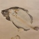 竹内栖鳳 鮮魚 8
