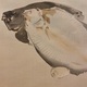 竹内栖鳳 鮮魚 9