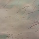 梥本一洋 秋晴 11