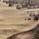 中林竹洞 春雲出谷 13