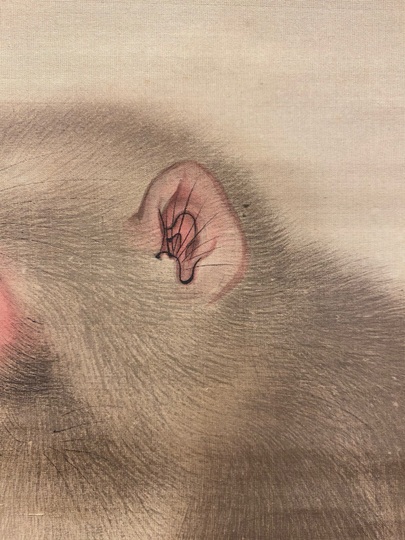 Yahoo!オークション -「掛軸 肉筆 猿」(日本画) (絵画)の落札