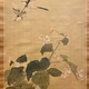 円山応挙 秋海棠鶺鴒図 5