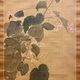 円山応挙 秋海棠鶺鴒図 6