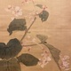 円山応挙 秋海棠鶺鴒図 8