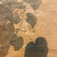 円山応挙 秋海棠鶺鴒図 11