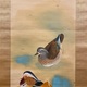 川端龍子 鴛鴦遊々 5