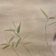 堂本印象 春日和 8