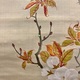 広瀬花隠 暁桜図 8