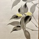 福田平八郎 春庭 8