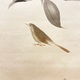 福田平八郎 春庭 9