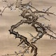 谷文晁 梅潜寿老人図 7