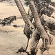 松村景文 蓬莱山之図 11