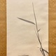 円山応挙 㓛竹狗子図 5