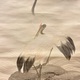木村武山 旭に双鶴 8