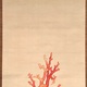 松村景文 珊瑚黄鳥 4